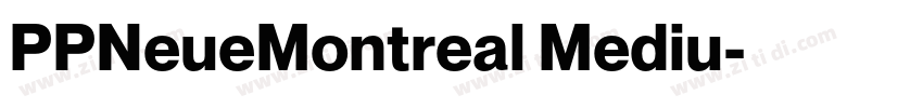 PPNeueMontreal Mediu字体转换
